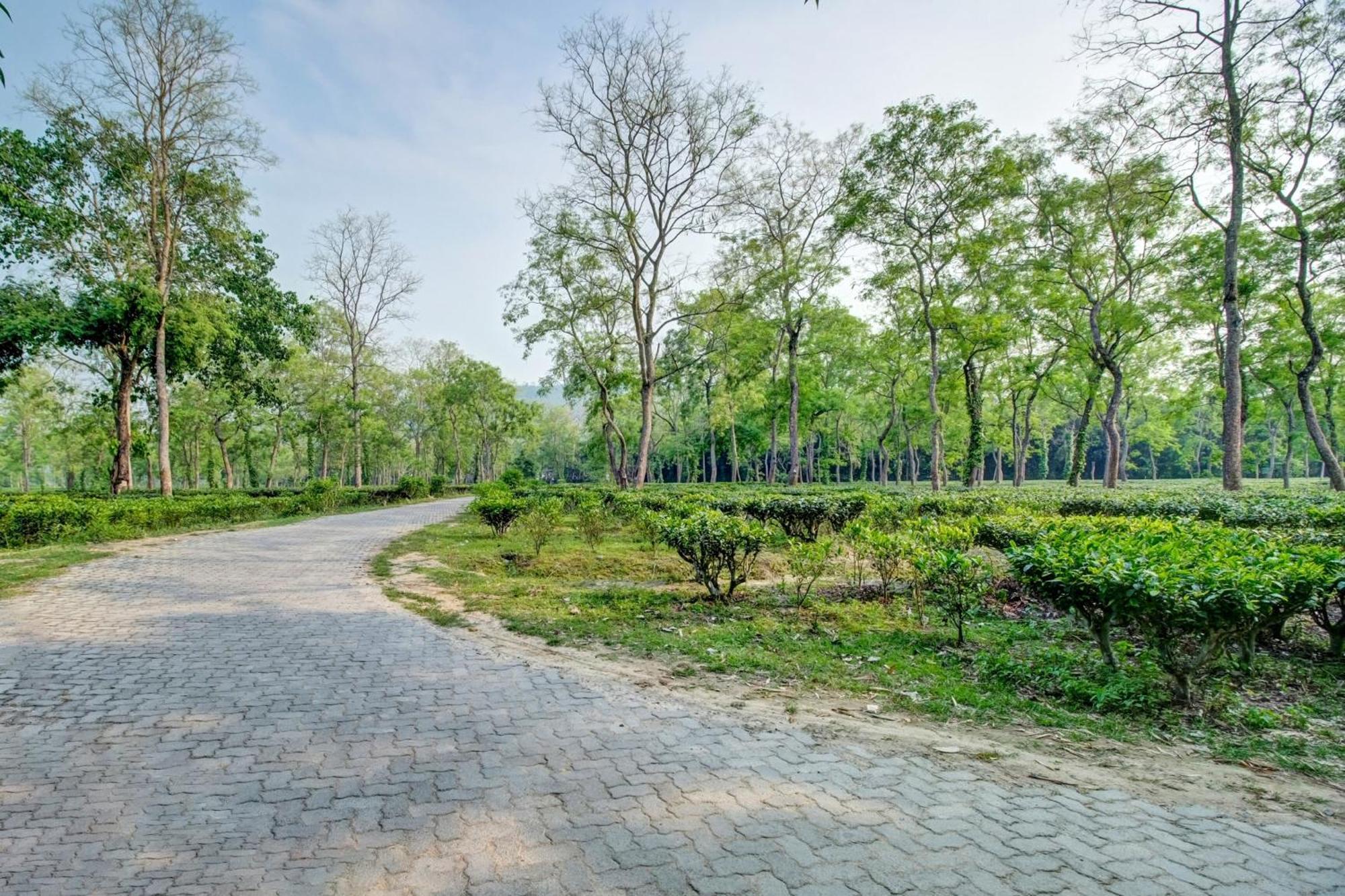 Hotel O Heritage Nest Resort Kazirnga Kāziranga 외부 사진